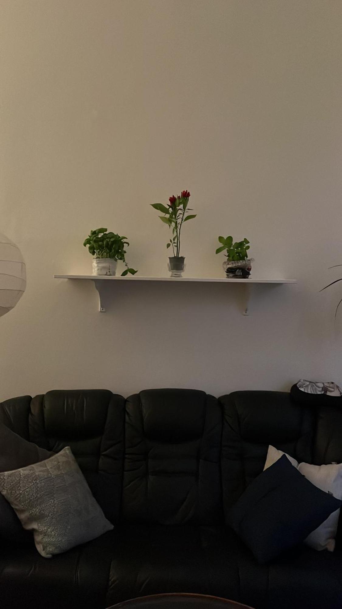Appartement Retro In Praag